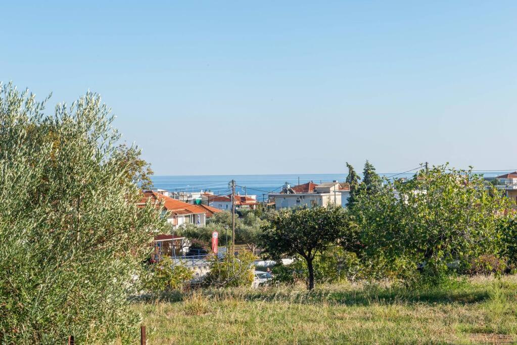 Όμορφο Παραθασυγκρότημα Ενοικιαζόμενων Καταλυμάτων Ως Ολόκληρος Χώρος - Chrani, Ελλάδαλάσσιο Διαμέρισμα Exteriér fotografie